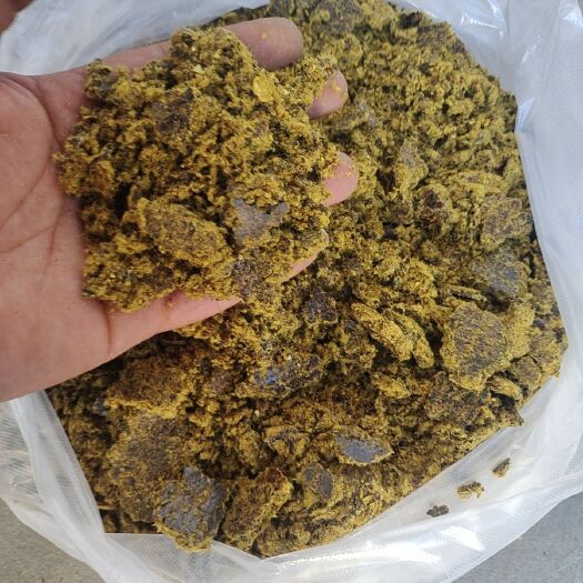 石家庄全脂棉籽饼