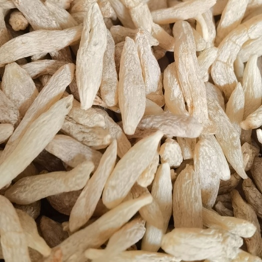 鄄城县【麦冬】1000克 实物拍摄 货源充足 量大从优