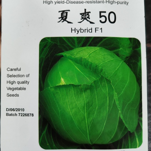 眉山杂交夏爽50早熟夏秋甘蓝/扁圆形甘蓝种子/包菜种子耐裂抗病