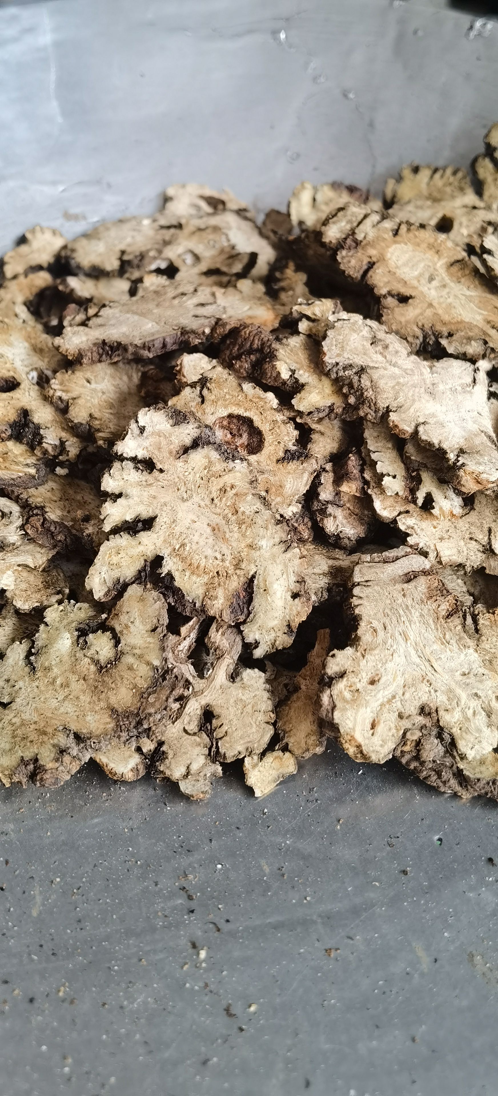 【川芎】1000克  实物拍摄  货源充足  量大从优