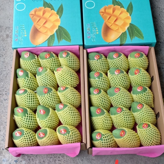 百色精品大品农，果形饱满，甜度高。1件代发10斤