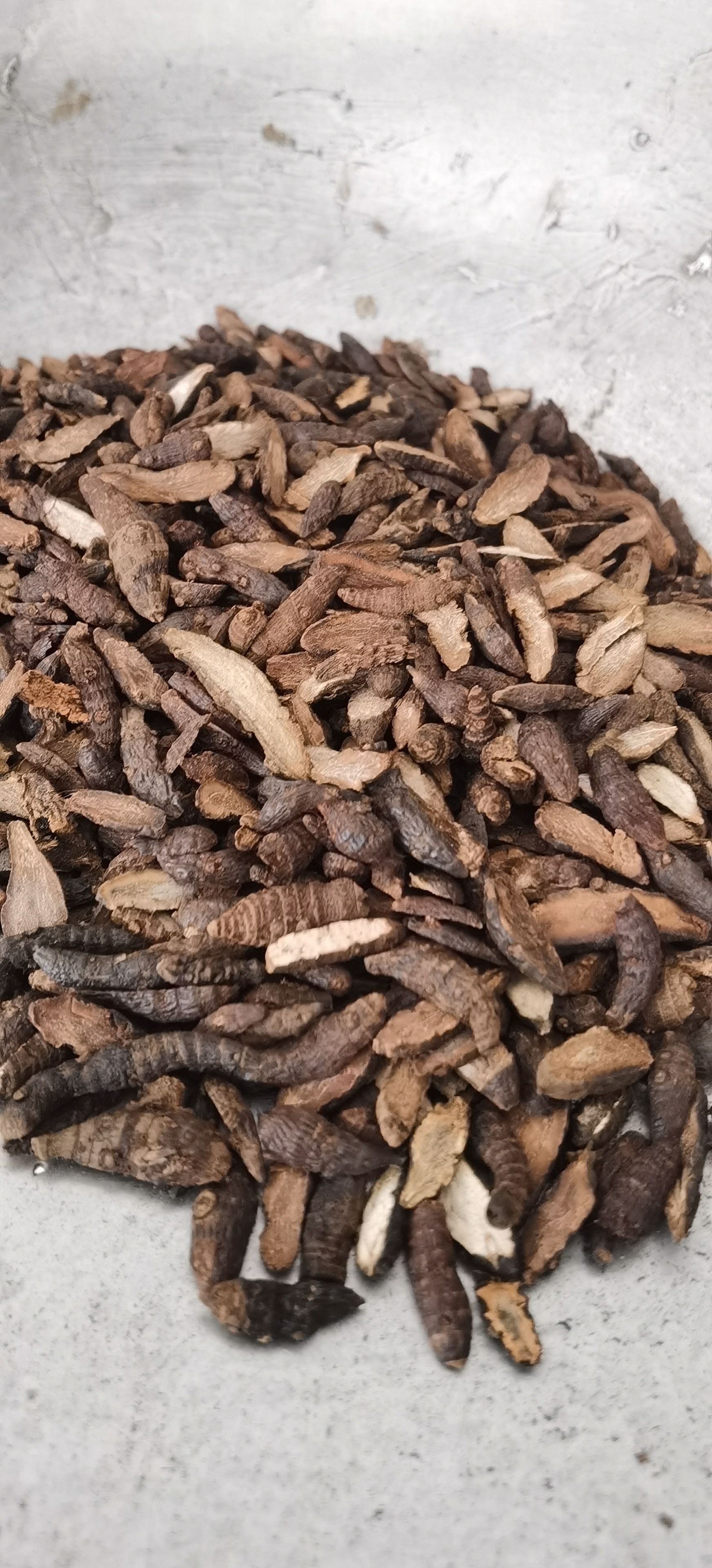 【香附】实物拍摄  量大从优  批发供应中药材