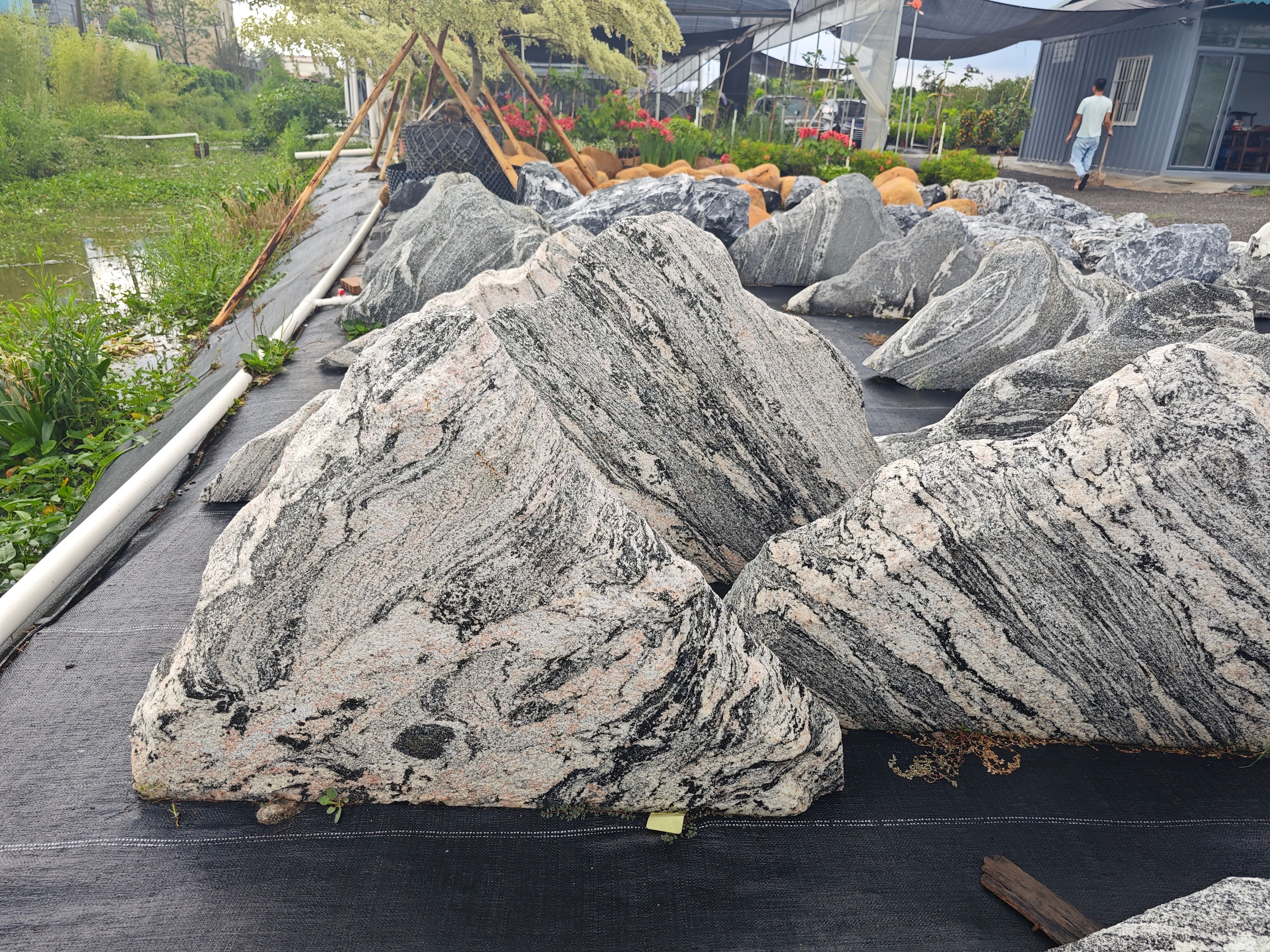 雪浪石泰山石园林石头庭院大石头中山石场批发