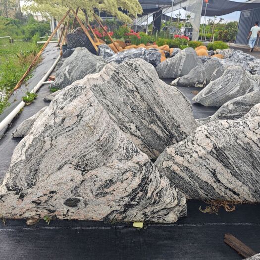 中山市雪浪石泰山石园林石头庭院大石头中山石场批发