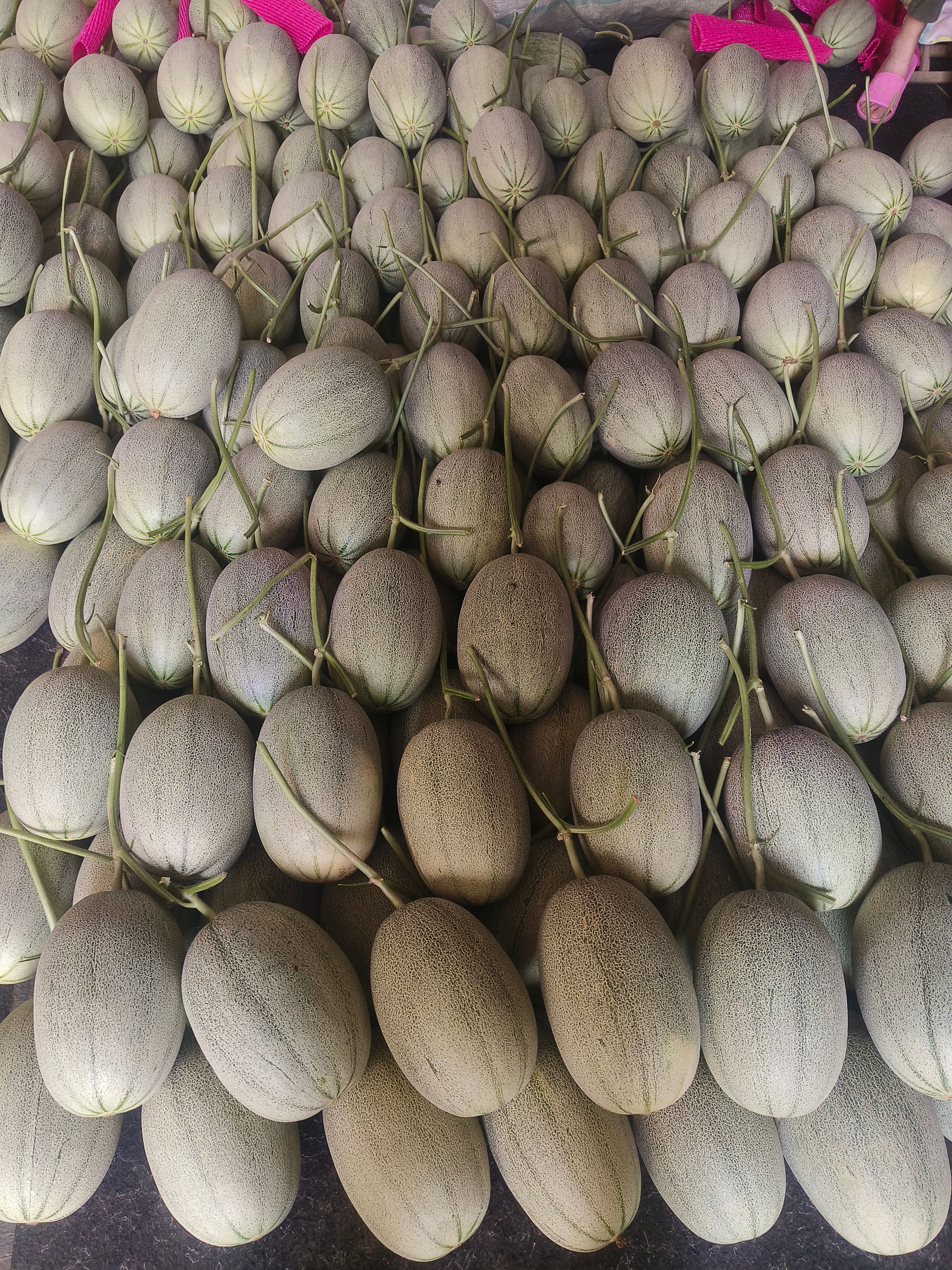 精品西州蜜密25产地直发，常年有货质量好