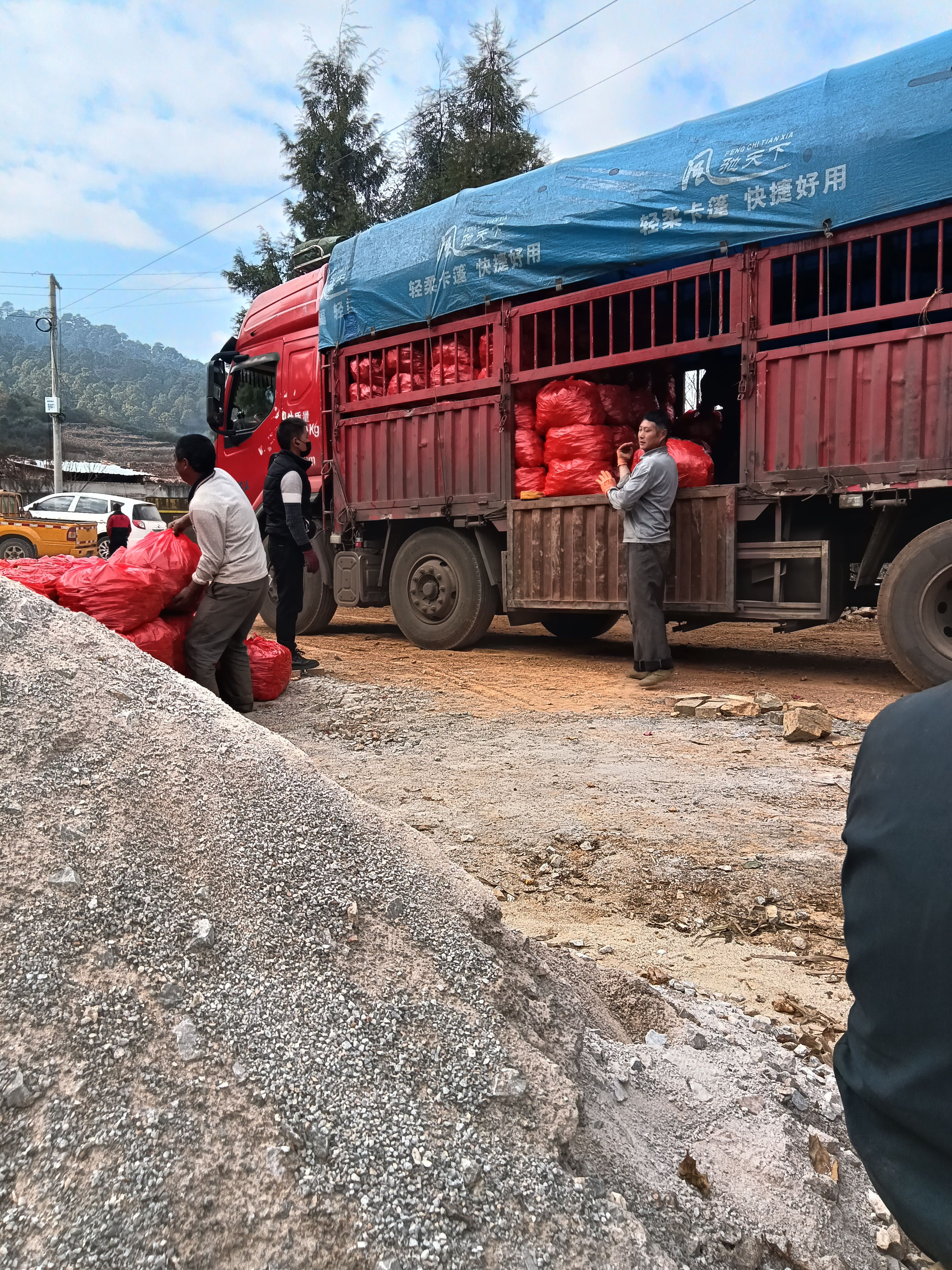 小黄姜云南文山产地生姜冷库姜有小黄姜二黄姜大牙姜