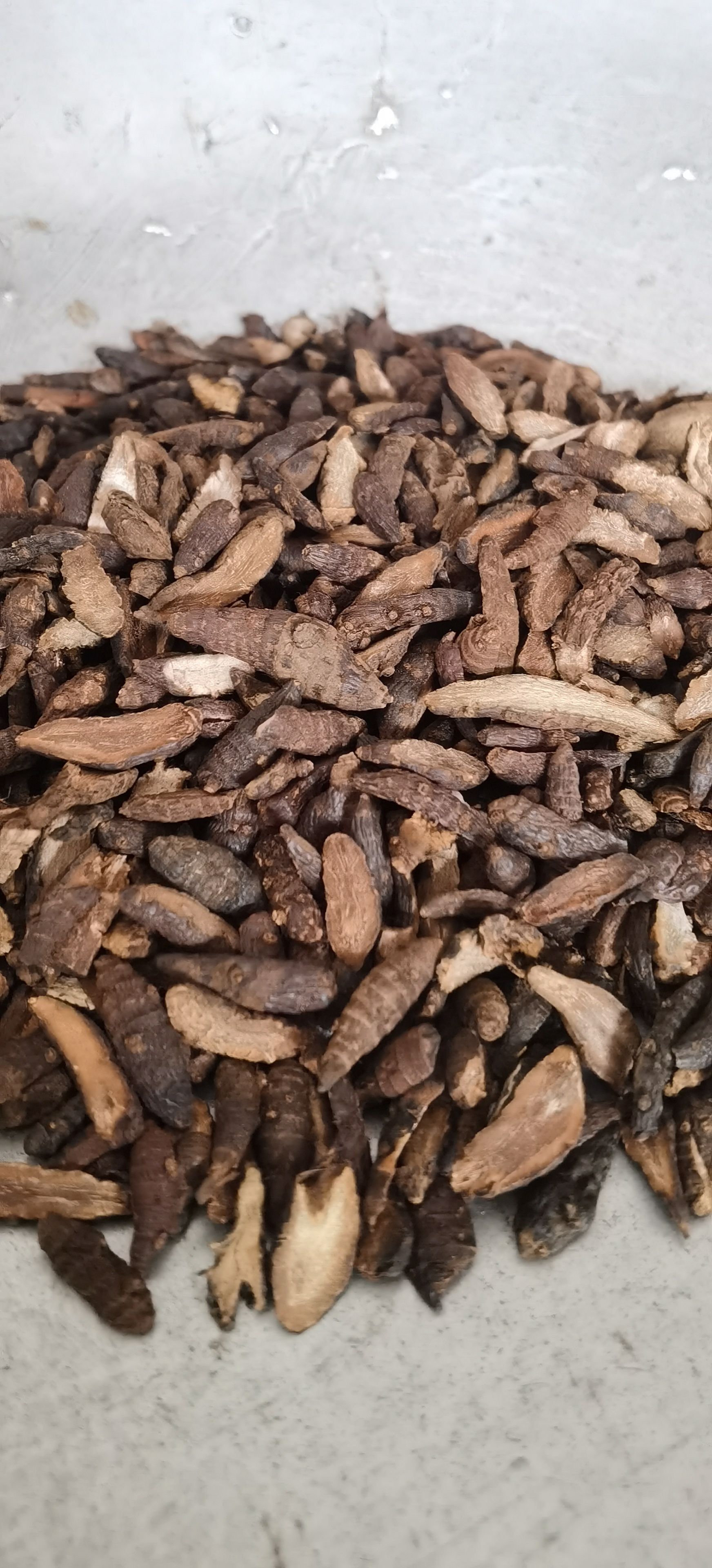 【香附】实物拍摄  量大从优  批发供应中药材