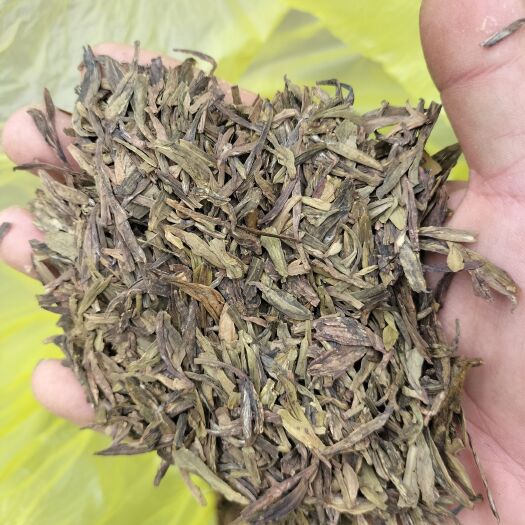 松阳县陈茶