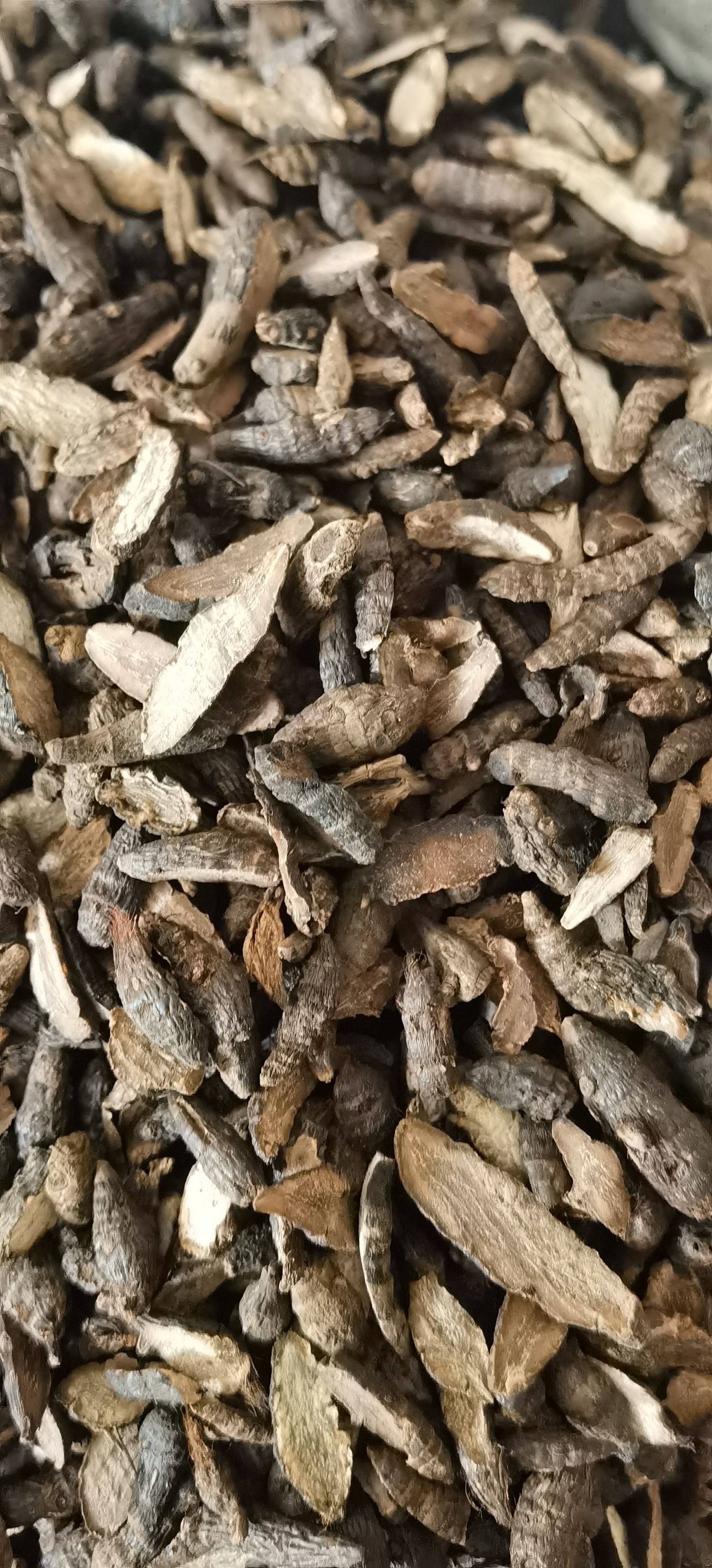 【香附】实物拍摄  量大从优  批发供应中药材