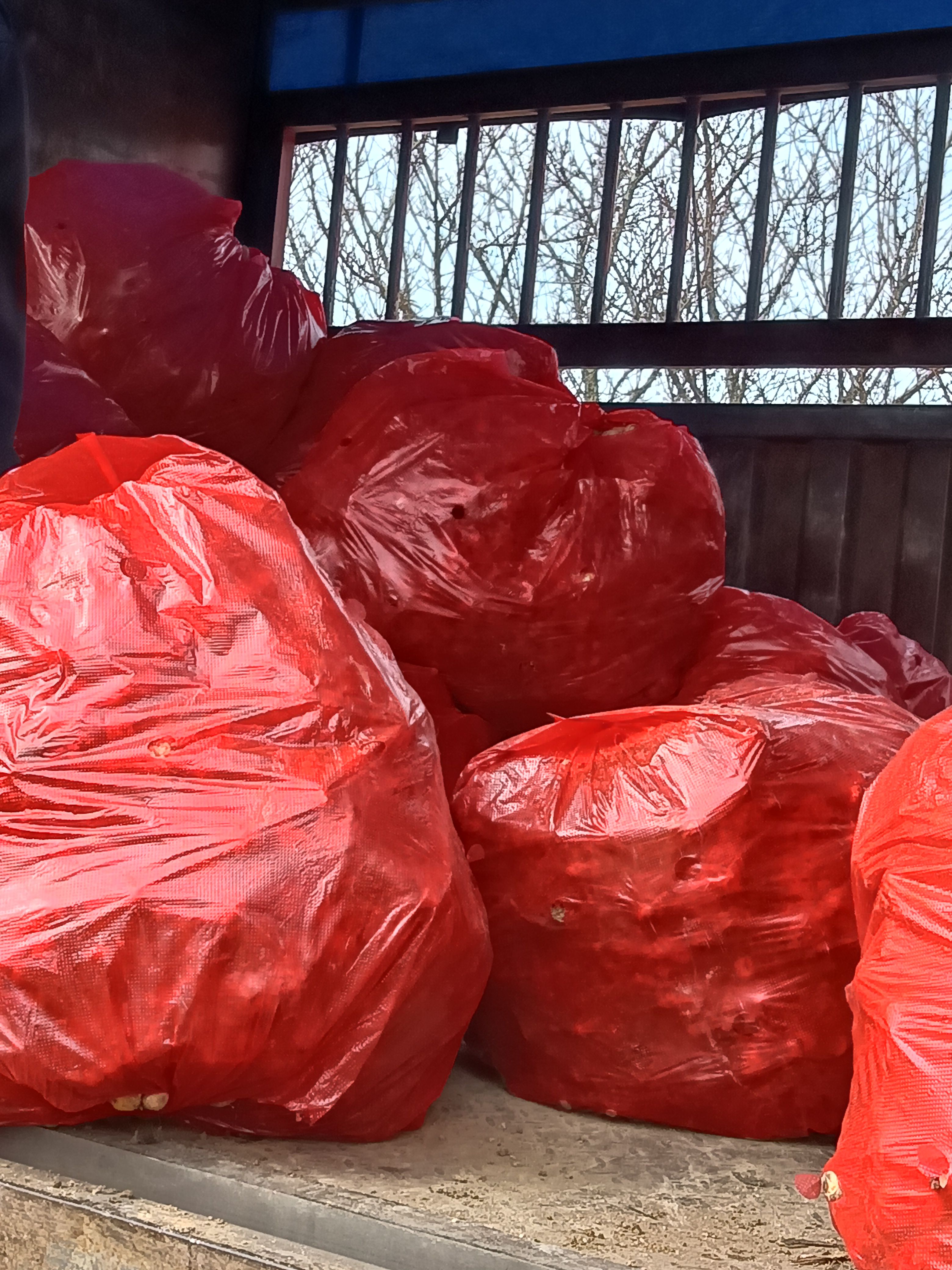 小黄姜云南文山产地生姜冷库姜有小黄姜二黄姜大牙姜