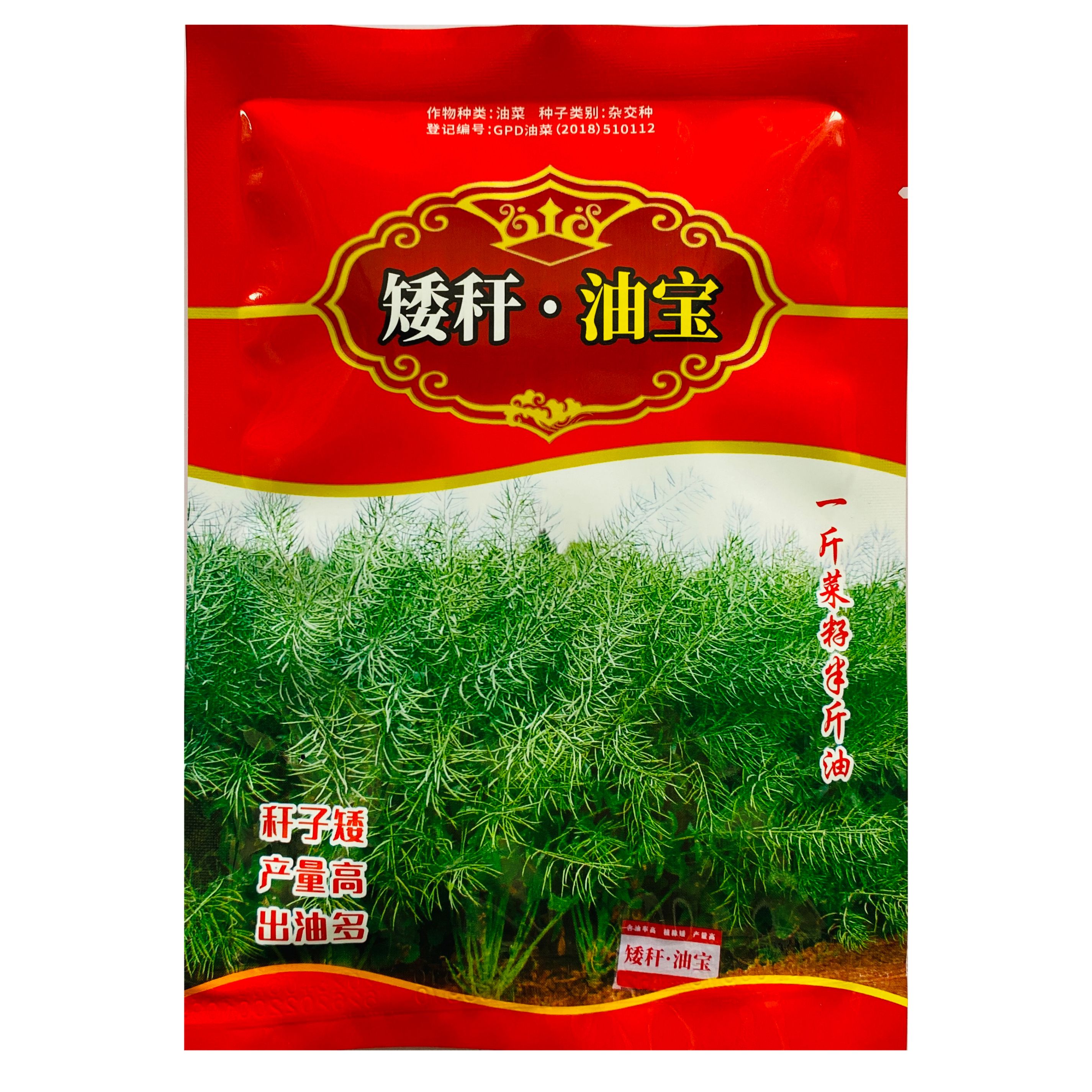 矮杆油宝油菜种子甘蓝型油菜黑籽矮杆越冬油菜籽出油率高