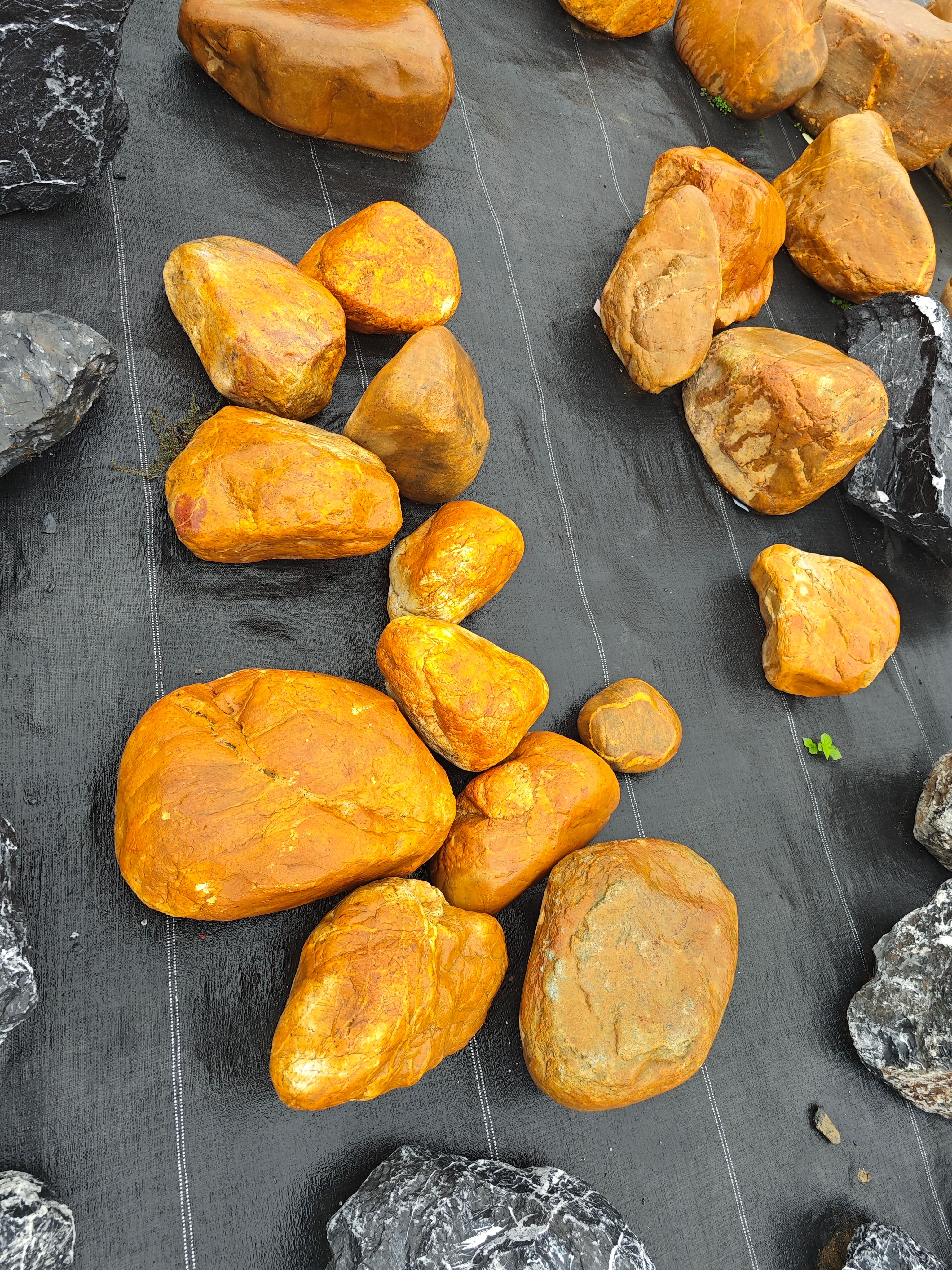 黄蜡石庭院大石头园林石头景观石头中山石场批发