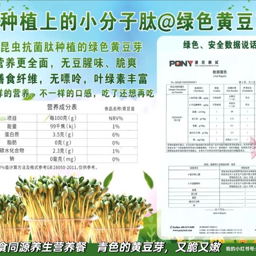 隆安县绿色青豆芽