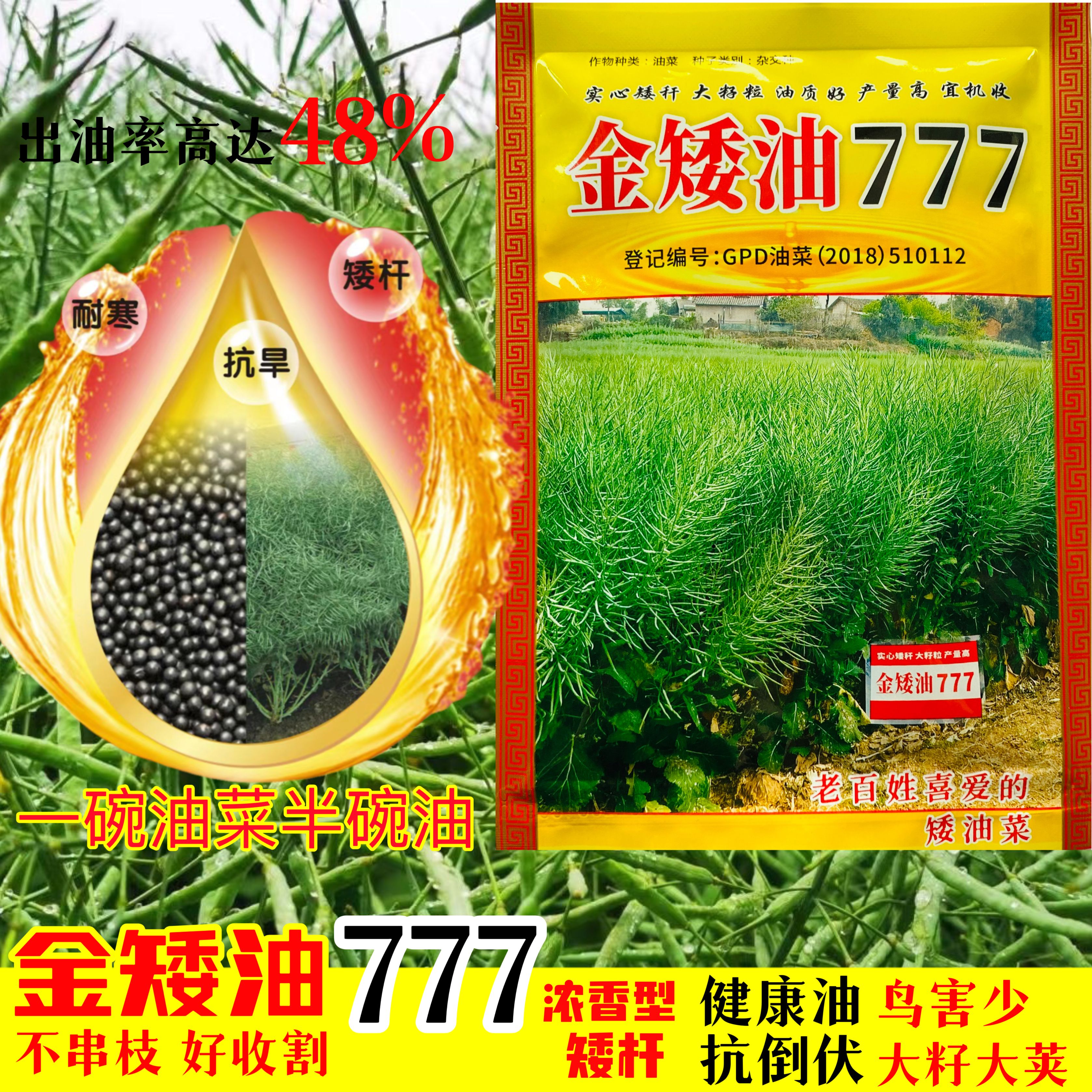 金矮油777油菜种子甘蓝型油菜黑籽矮杆越冬油菜籽出油率高