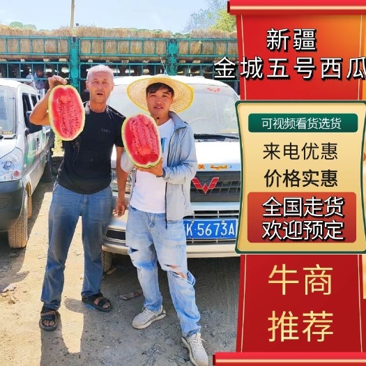 吐鲁番新疆金城5号西瓜个大汁多甜度高包熟