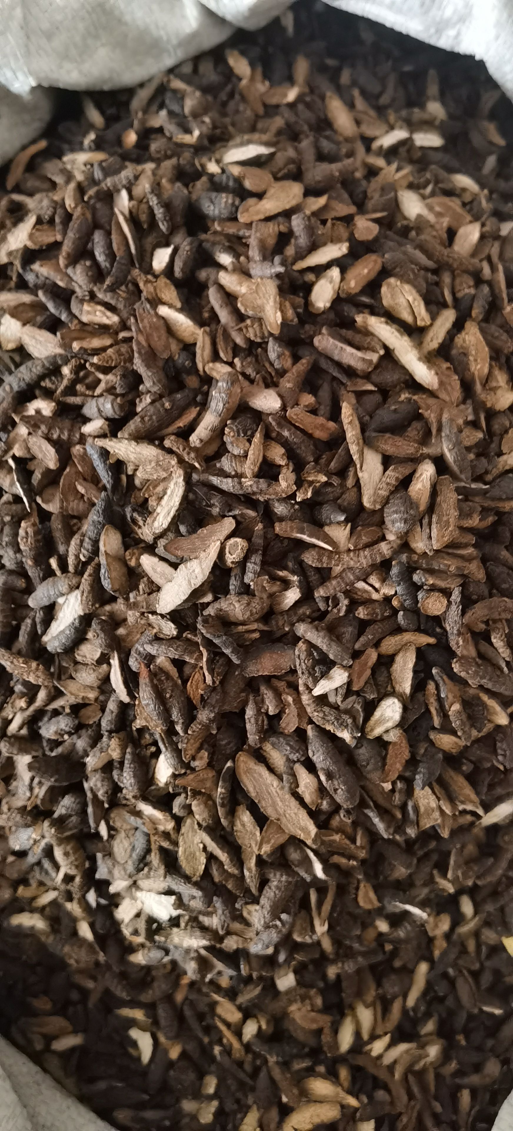 【香附】实物拍摄  量大从优  批发供应中药材