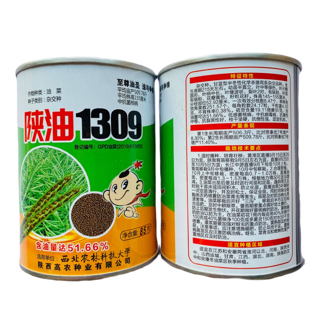 陕油1309油菜种子甘蓝型油菜黑籽矮杆越冬油菜籽出油率高