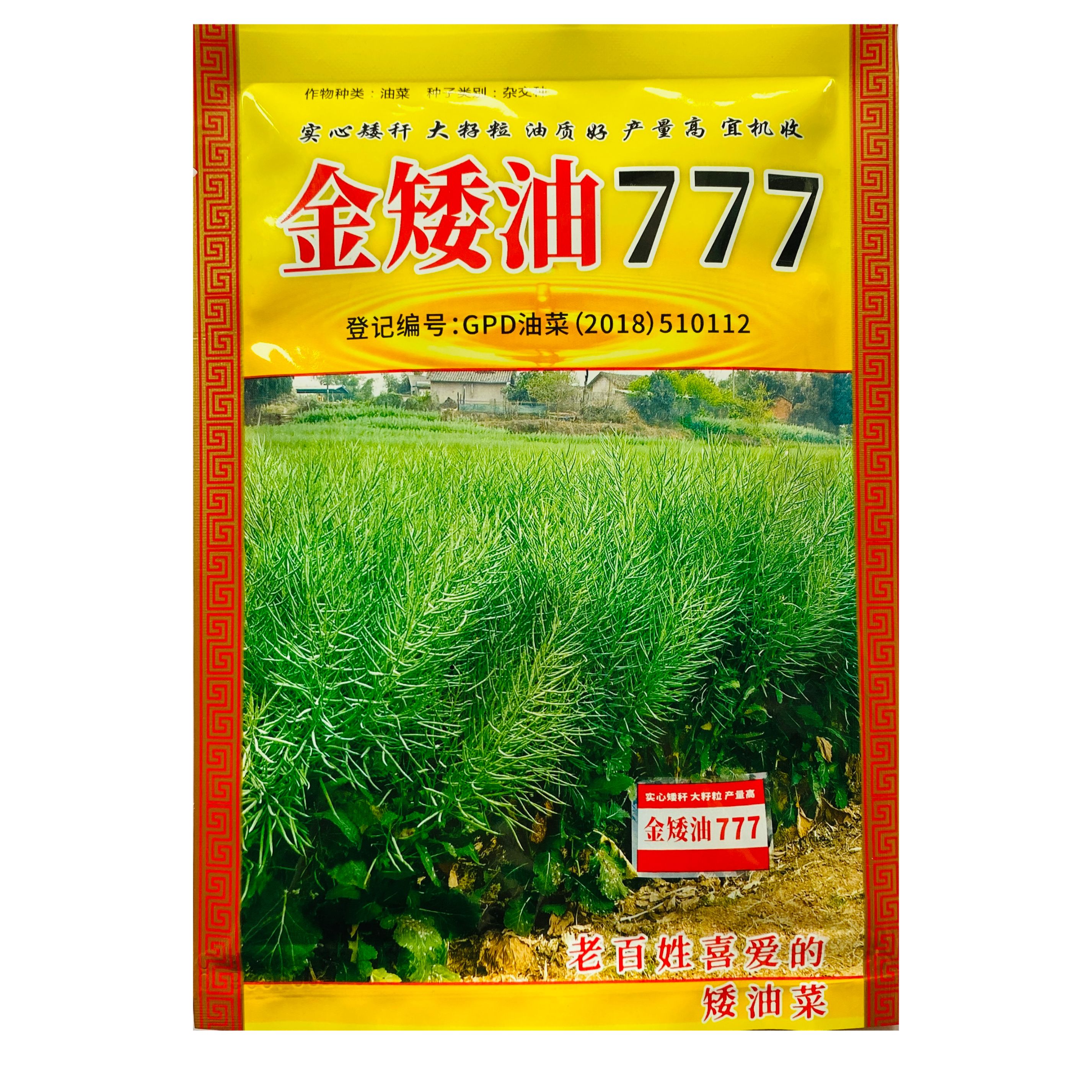 金矮油777油菜种子甘蓝型油菜黑籽矮杆越冬油菜籽出油率高