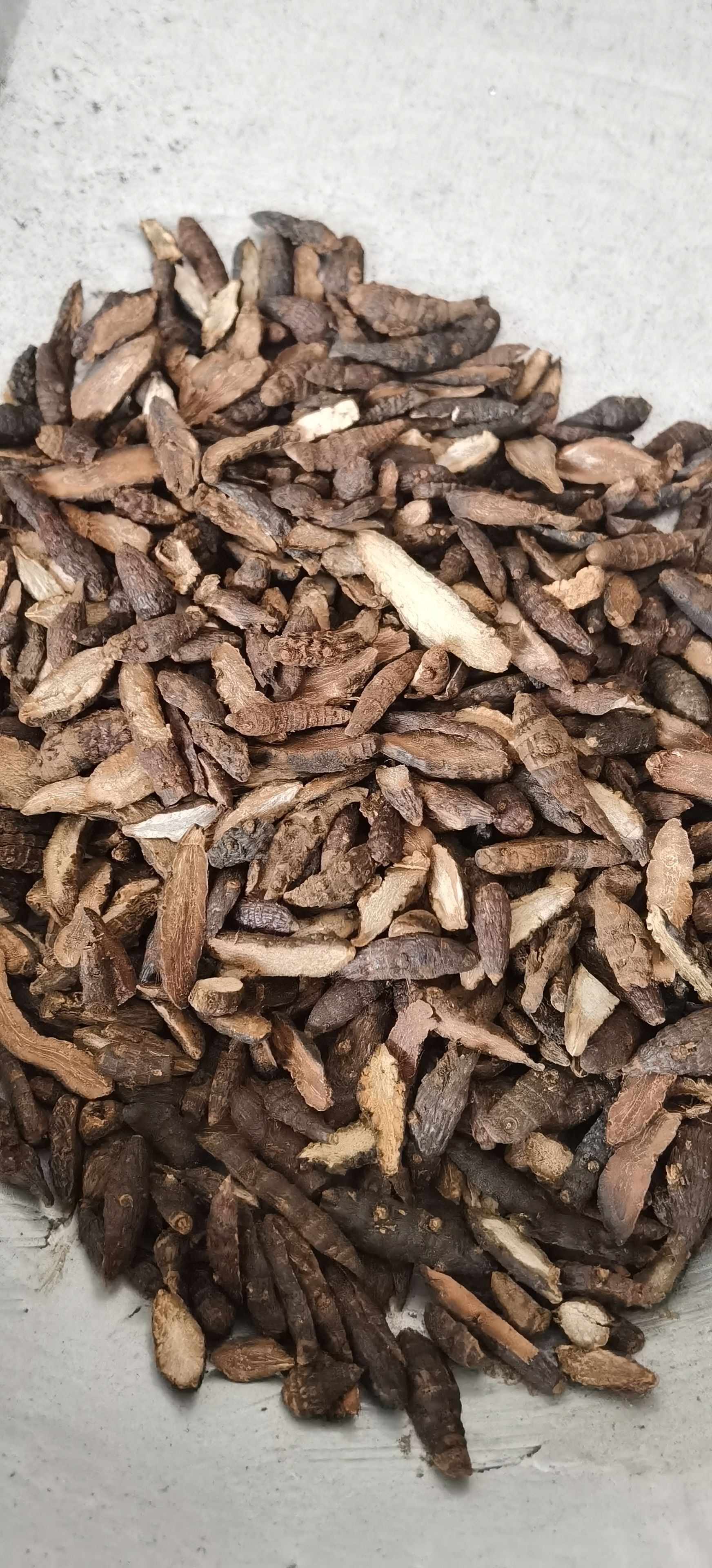 【香附】实物拍摄  量大从优  批发供应中药材