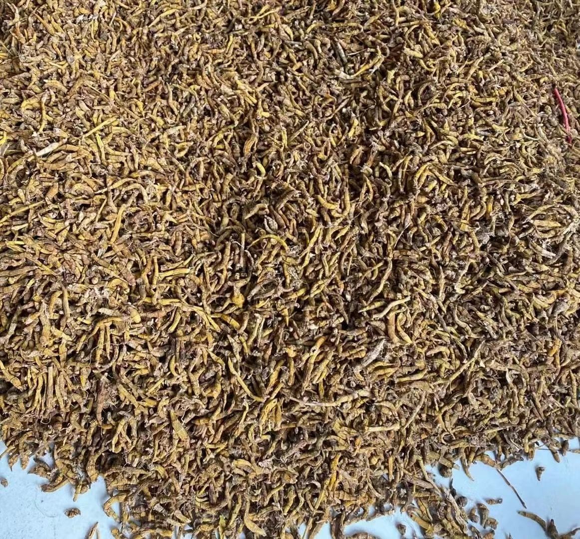 虎牙石斛，东南亚一手货源，价格优势，质量好，量大价优