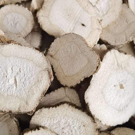 鄄城县【白芷】实物拍摄  货源充足  量大从优  批发供应中药材