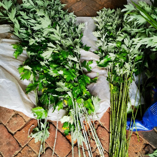 如东县艾叶艾草