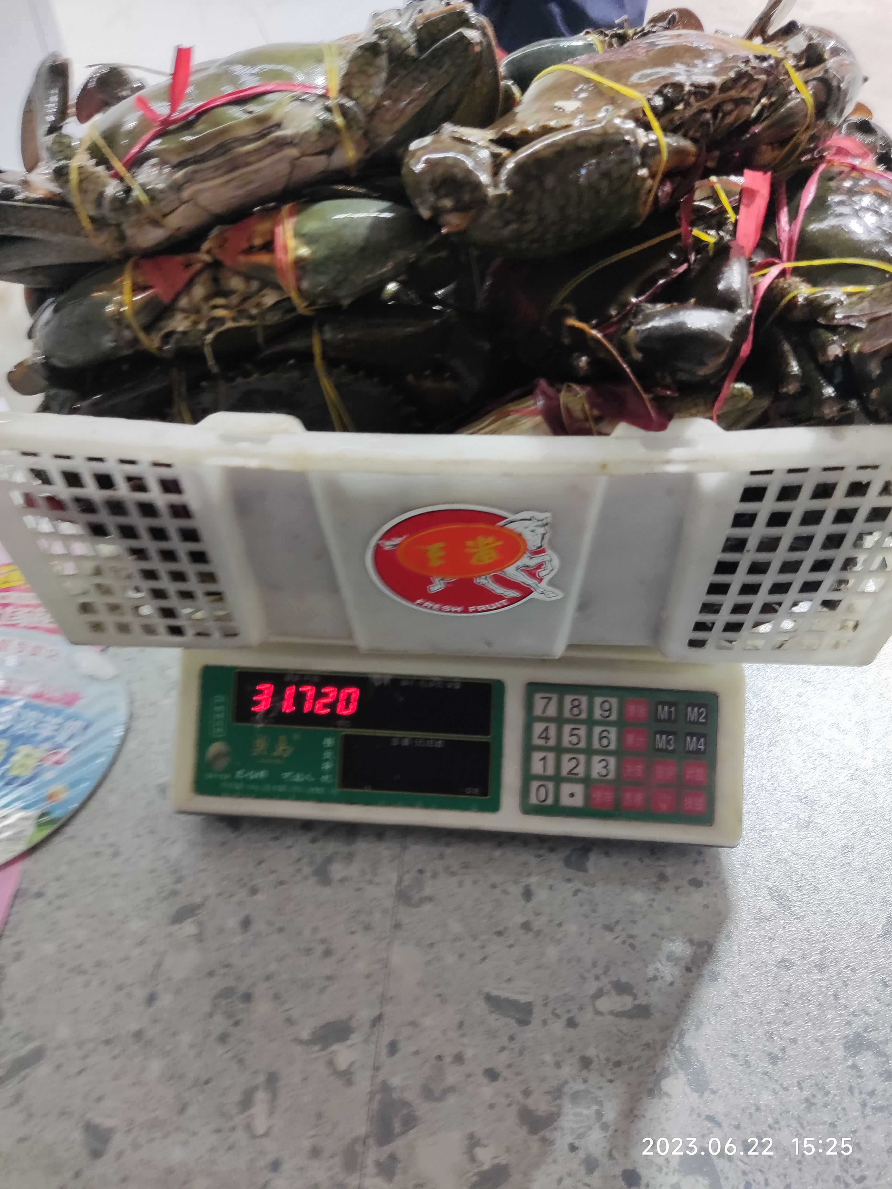青蟹大肉蟹