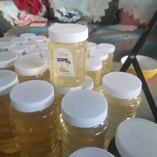 庆阳自家洋槐蜜