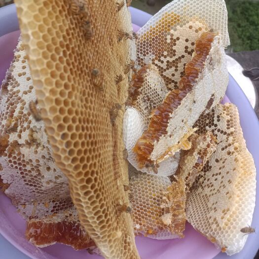 来凤县蜂蜜，支持检测假一赔十