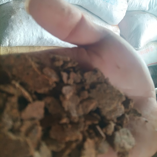 上饶菜籽饼