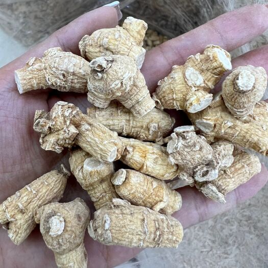 昆明精选西洋参大货批发一件代发