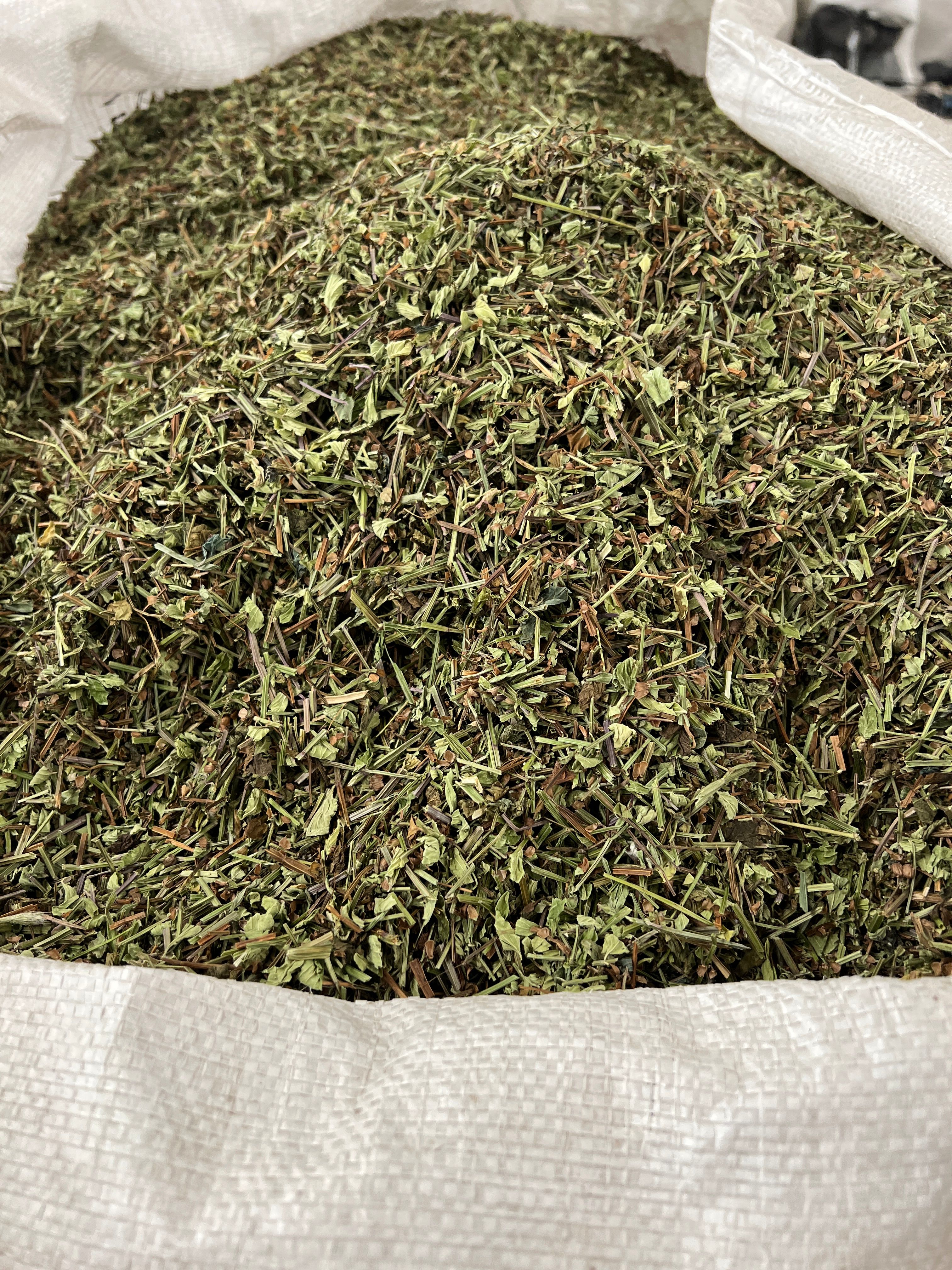 头茬半枝莲