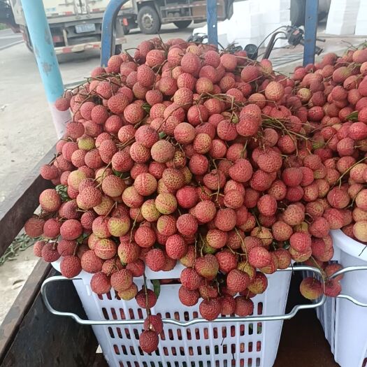 阳西玉荷包大量上市，有需要的老板可以联系