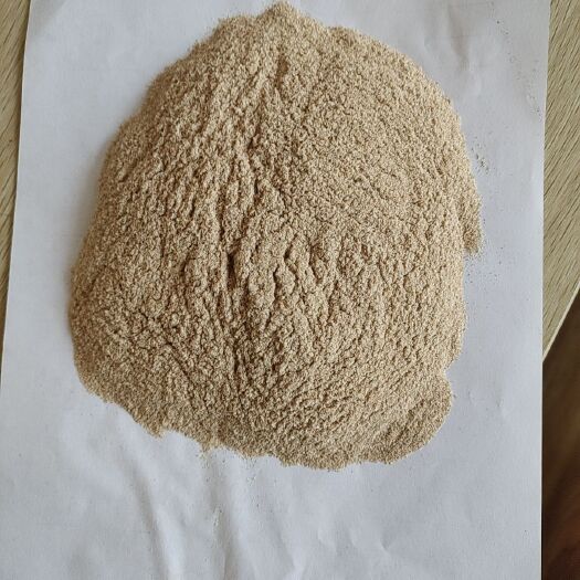 石家庄小麦次粉