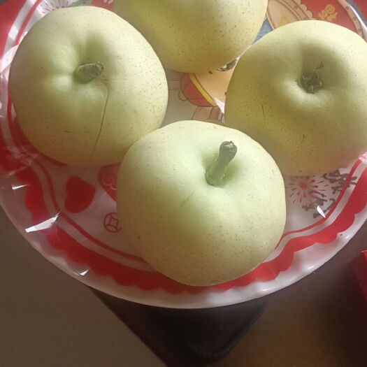 丰县早熟贡梨