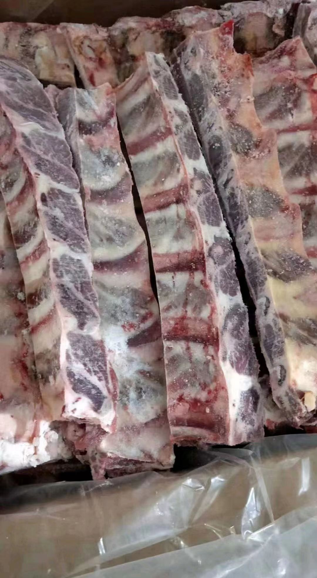 纯干多肉牛排，鲁西黄牛牛排，可几肋分开，可以锯断