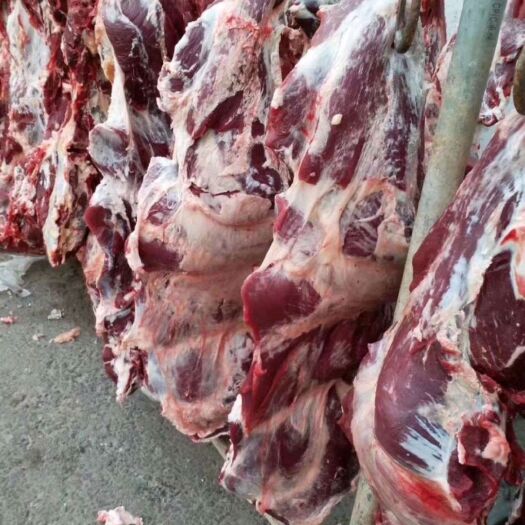 黃牛肉，魯西小黃牛，純干鮮牛肉，精修去油