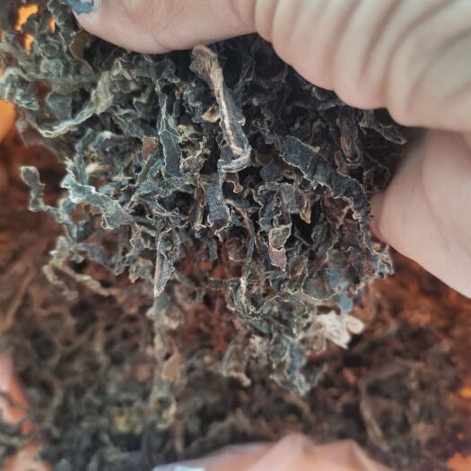 单县花菜叶子梅干菜已蒸。打架子自然日光凉晒，九成干，无沙尘。