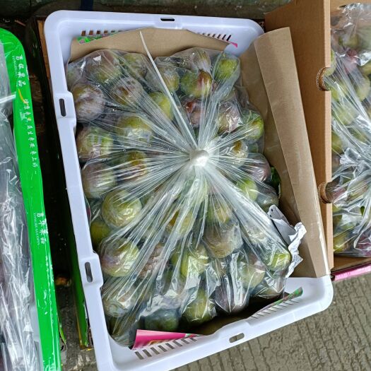 屏山县五月脆尾期货，口感没得说，一个字好吃