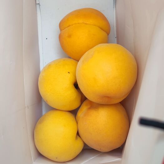 太康县黄金蜜黄桃