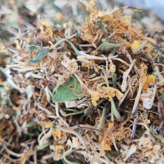 一级金银花通货  少枝和叶   货源充足  价格实惠