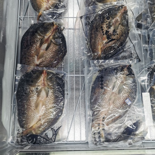 银川鲤鱼