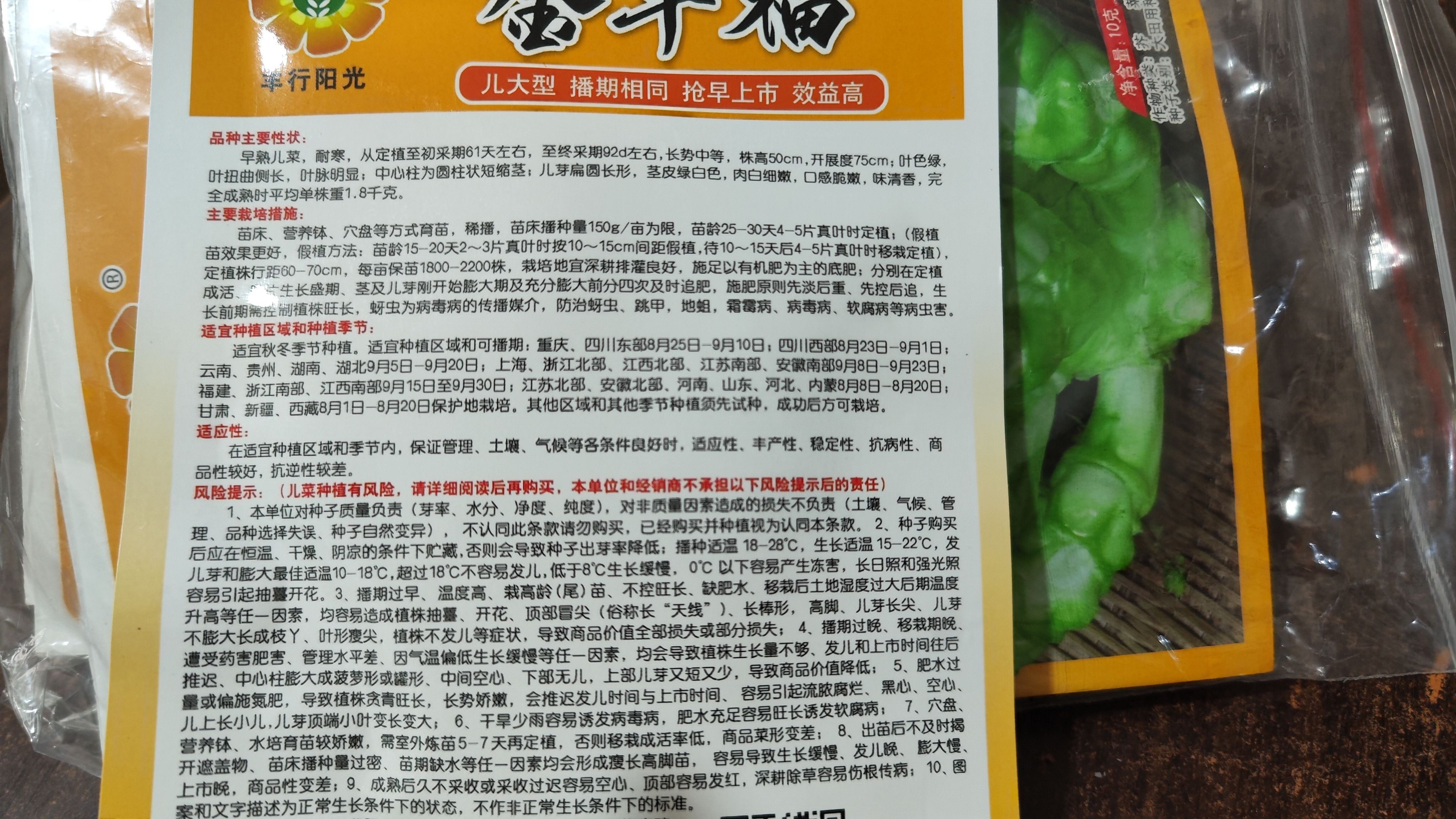 重庆早熟金早福儿菜种子/白叶/耐寒/南充菜芥菜种子