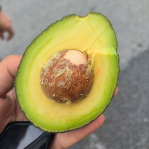 上海牛油果