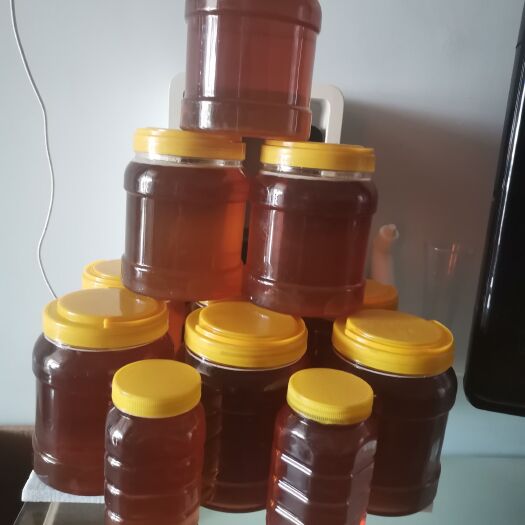 南阳荆花蜂蜜