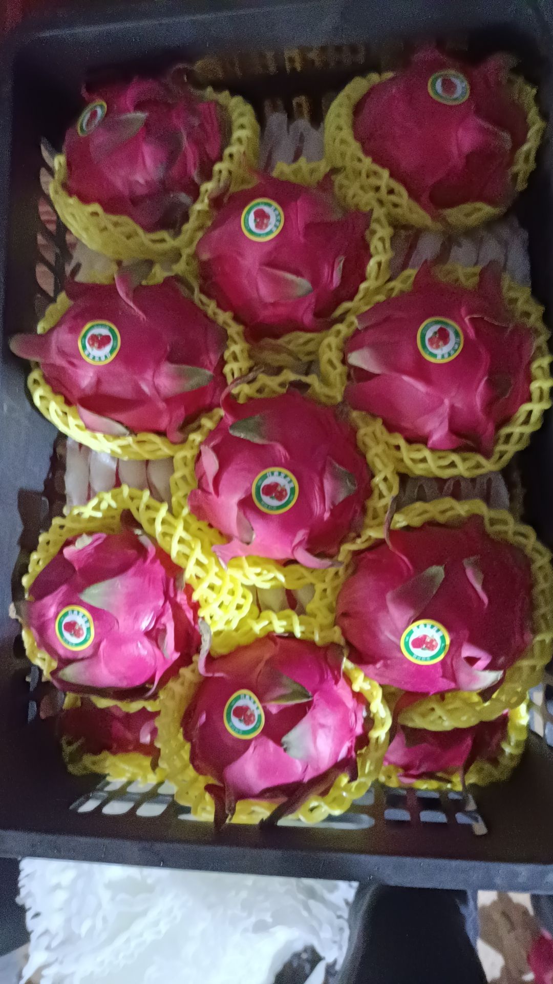 湛江火龙果代办
