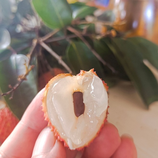 东莞市糯米糍荔枝