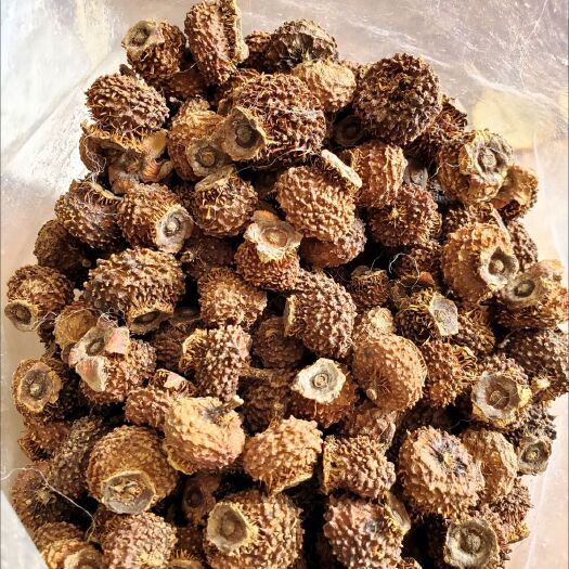 亳州刺梨，精品去刺，刺梨干