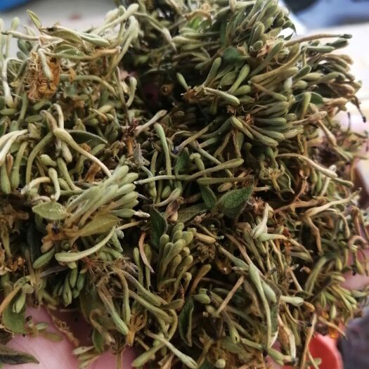 昆明金银花 贵州金银花 贵州金银花干货大货批发 金银花一件代发