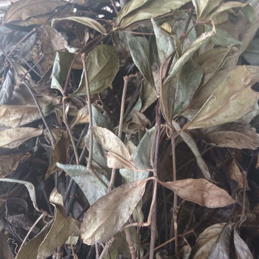 黎平县节骨茶